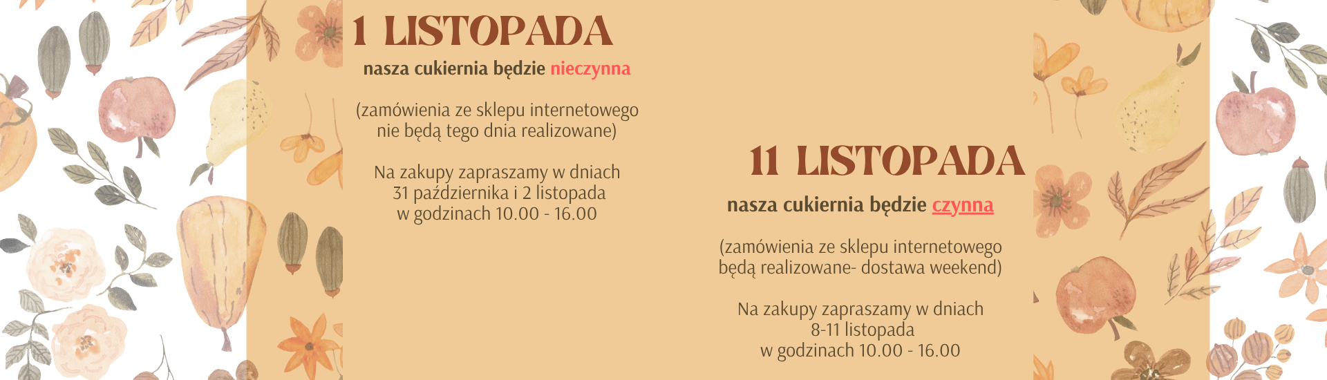1-i-11-listopada-mniejszy-baner(1).png
