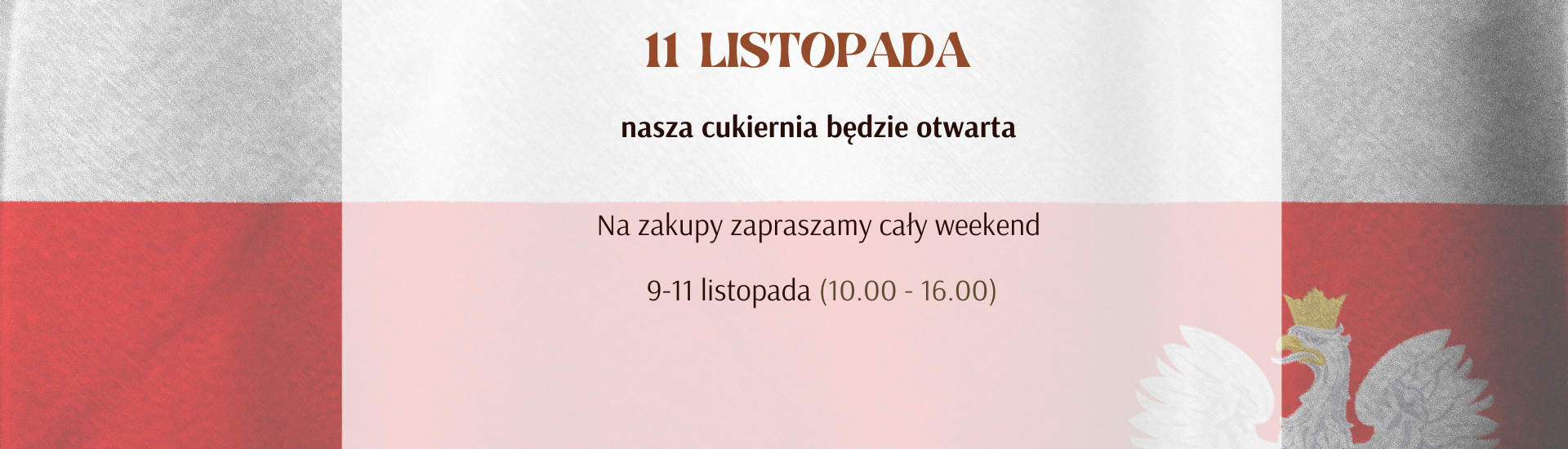 11-listopada-mnijeszy-baner(1).png